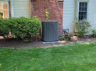 Nancy C.'s Bush Trimming service result