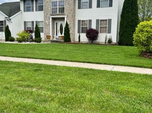 Rick G.'s turf maintenance service result