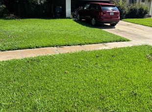 Gina C.'s grass cutting service result