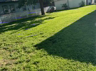 Brandy C.'s lawn care service result