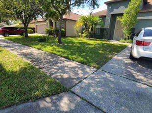 Matthew P.'s lawn care service result