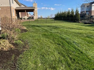 Michael S.'s lawn care services service result