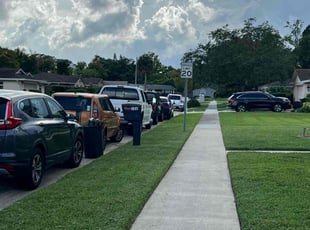 Allisha C.'s lawn service service result