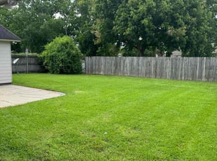 Andrea F.'s grass cutting service result