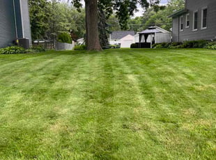 Diana M.'s grass cutting service result