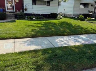 Ashok K.'s lawn care services service result