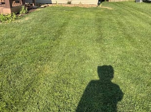 Mike R.'s lawn service service result
