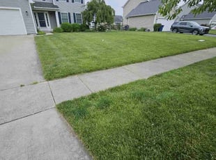Cynthia D.'s grass cutting service result
