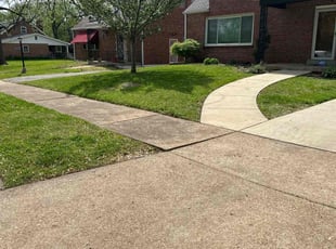 Diana F.'s lawn care service result