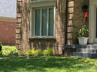 Ryan P.'s Bush Trimming service result
