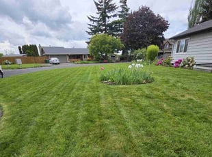 Jaclynn A.'s lawn service service result