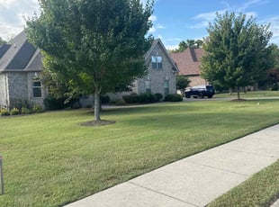 Donna P.'s lawn service service result