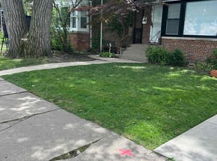 Richard R.'s lawn service service result