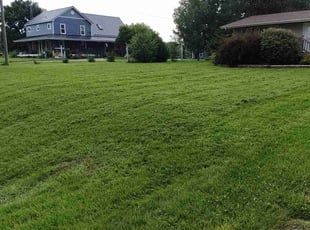 Ernest W.'s lawn care services service result