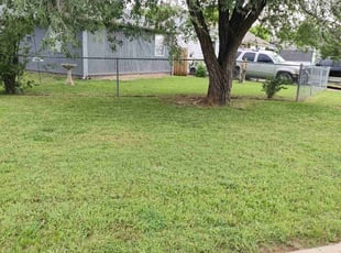 Guillermo M.'s lawn care services service result