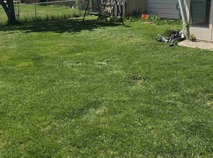 Debra S.'s lawn care services service result