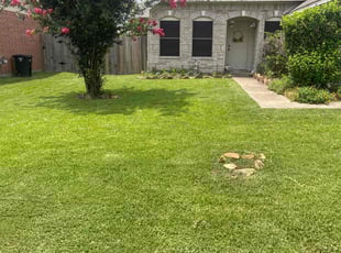 Bryan G.'s yard maintenance service result