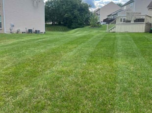 Danica S.'s lawn maintenance service result