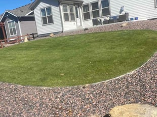 Dianne F.'s lawn care services service result