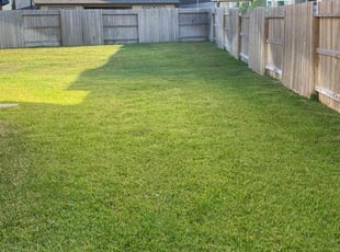 Lisa D.'s lawn care service result