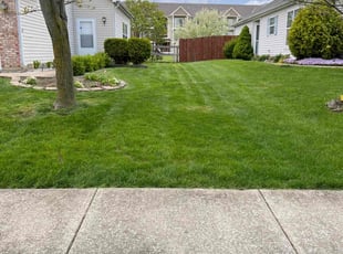 Rebecca F.'s lawn care service result