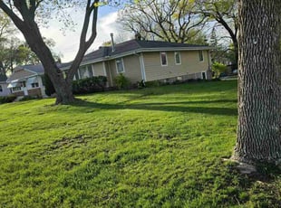 Laverne M.'s grass cutting service result