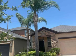 Kevin R.'s Tree Care service result