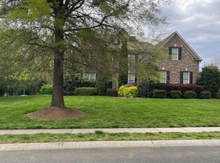 Ainsley C.'s lawn maintenance service result