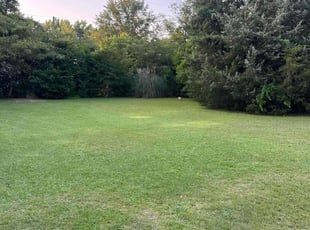 Demario H.'s lawn maintenance service result