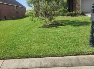 Erica O.'s lawn care service result