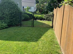 Mr B.'s lawn care services service result