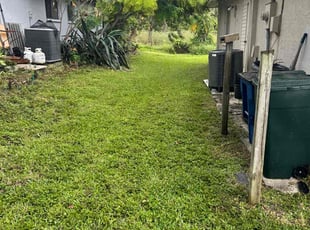 Shawn C.'s lawn service service result