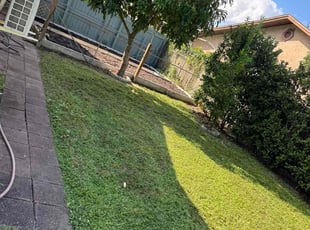 Elaine R.'s lawn care services service result