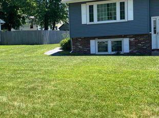 Staci B.'s lawn maintenance service result