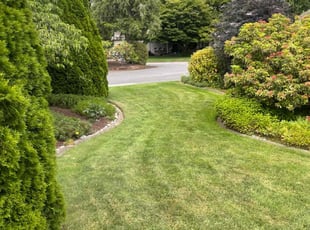 Jennifer F.'s lawn care service result