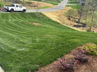 Shelia L.'s turf maintenance service result