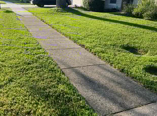 Kalina N.'s lawn care services service result