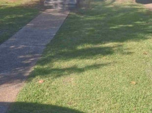 Lisa M.'s lawn care services service result