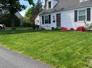 Marilyn T.'s turf care service result