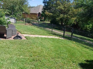 Amy D.'s Long Grass Cleanup service result