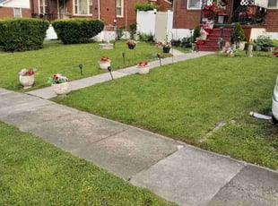 Irma R.'s turf care service result