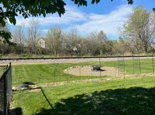 Odalis C.'s turf care service result