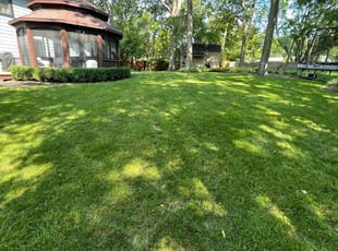 Rudra P.'s lawn care services service result