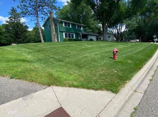 Josh M.'s turf care service result