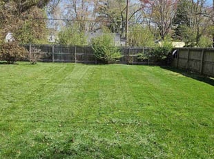 Omar S.'s yard care service result