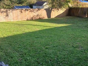 Kathy S.'s turf maintenance service result