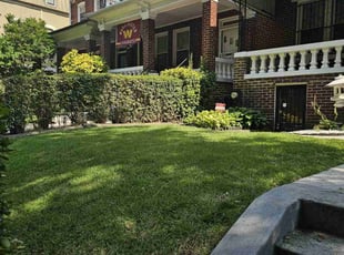 Jeffrey T.'s lawn care services service result