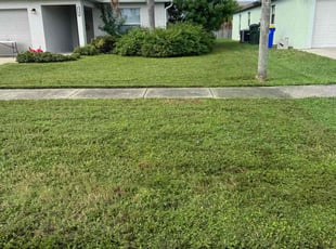 Alicia C.'s grass maintenance service result