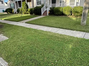 Amanda M.'s grass cutting service result