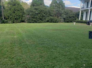 Nancy K.'s lawn maintenance service result